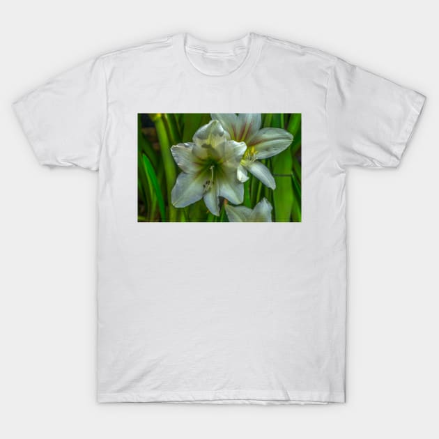 FLOWER T-Shirt by likbatonboot